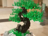 MortonArb Legos Bonsi-1 : Morton Arboritum